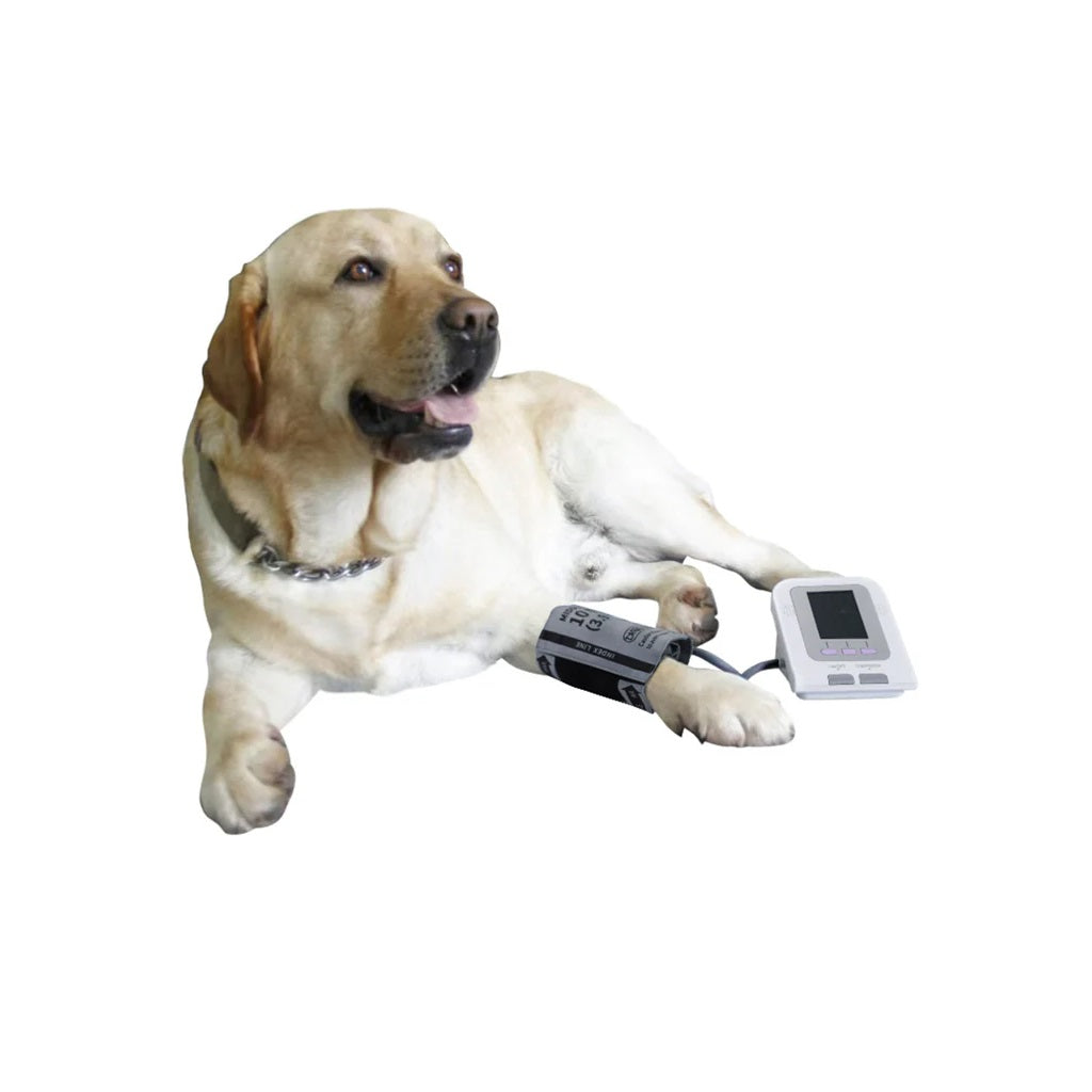 Tensiómetro Digital Veterinario